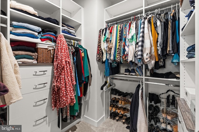 walk in closet with carpet floors