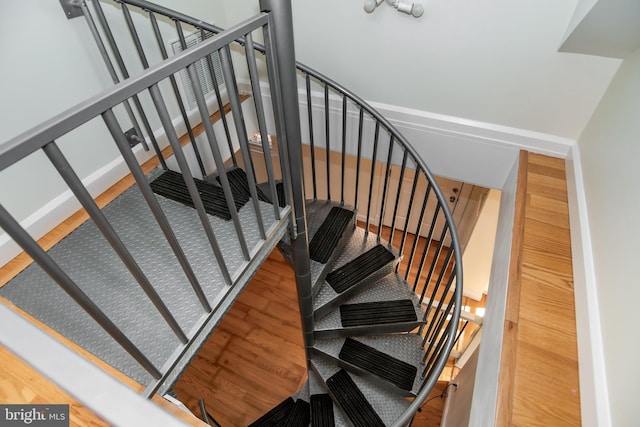 staircase with hardwood / wood-style floors