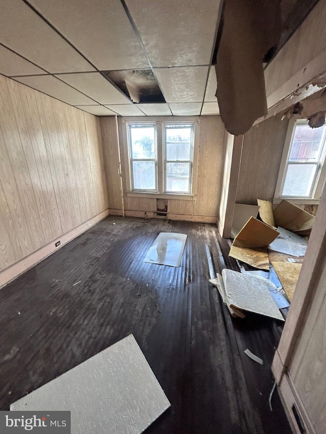 misc room featuring wooden walls and dark hardwood / wood-style flooring