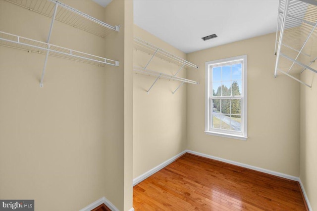 walk in closet featuring wood-type flooring