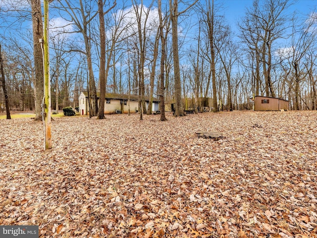 view of yard featuring an outdoor structure