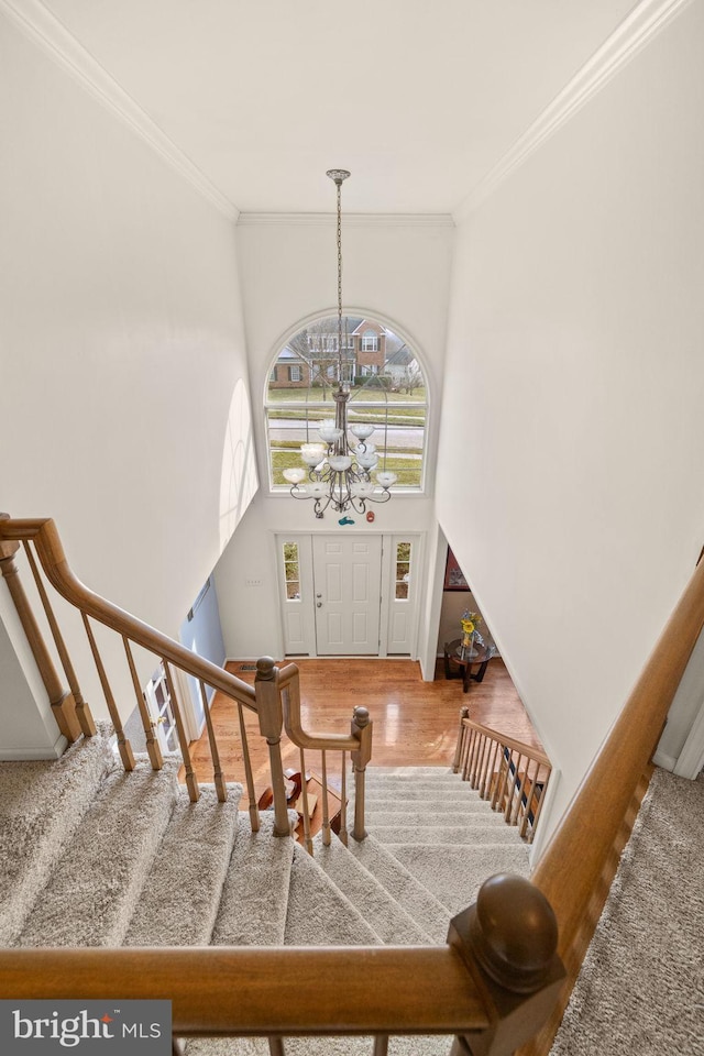 foyer with hardwood / wood-style flooring, ornamental molding, a high ceiling, and a chandelier