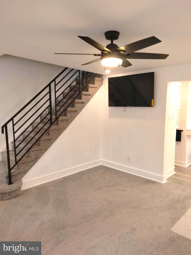 stairs with ceiling fan and carpet