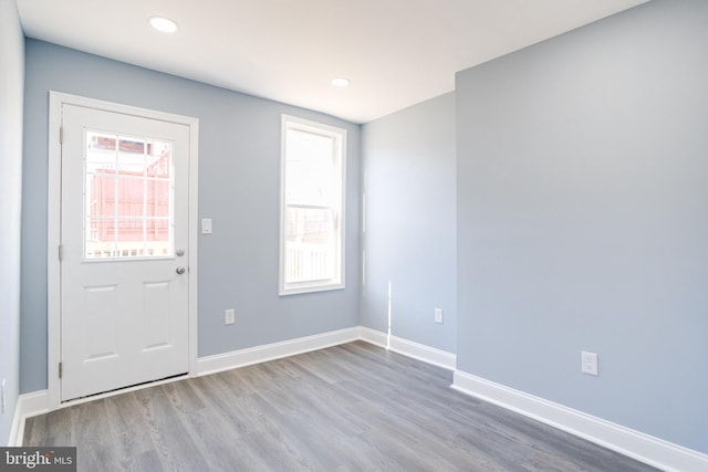 entryway featuring wood-type flooring and a healthy amount of sunlight