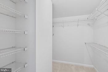 spacious closet featuring light carpet