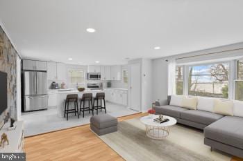 living room featuring a fireplace and light hardwood / wood-style flooring