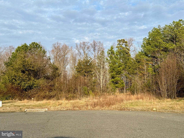 45917 Lexington Ct, Great Mills MD, 20634 land for sale