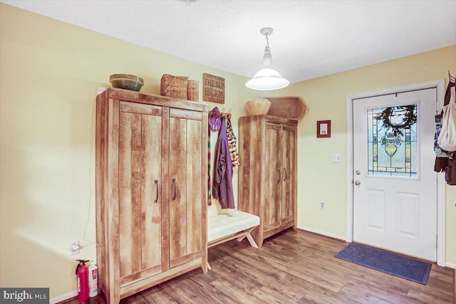 mudroom with hardwood / wood-style flooring