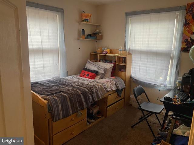 carpeted bedroom with multiple windows