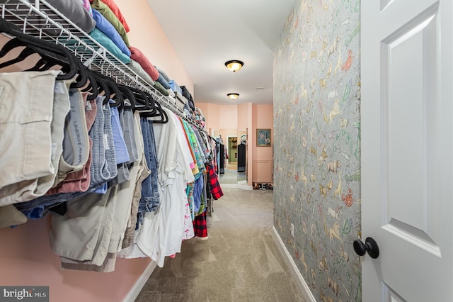 walk in closet featuring carpet