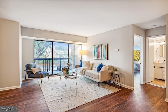 living room with hardwood / wood-style flooring