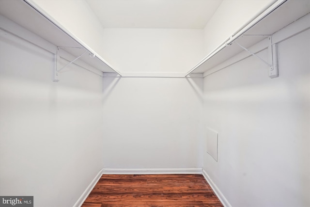 spacious closet featuring dark hardwood / wood-style floors