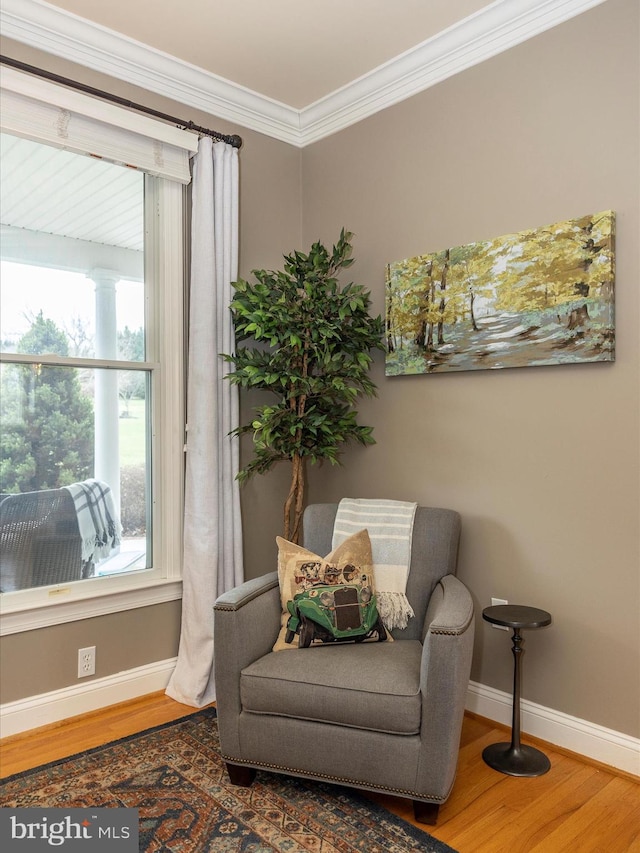 living area featuring dark hardwood / wood-style floors and ornamental molding