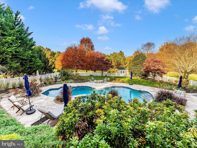 view of pool with a patio