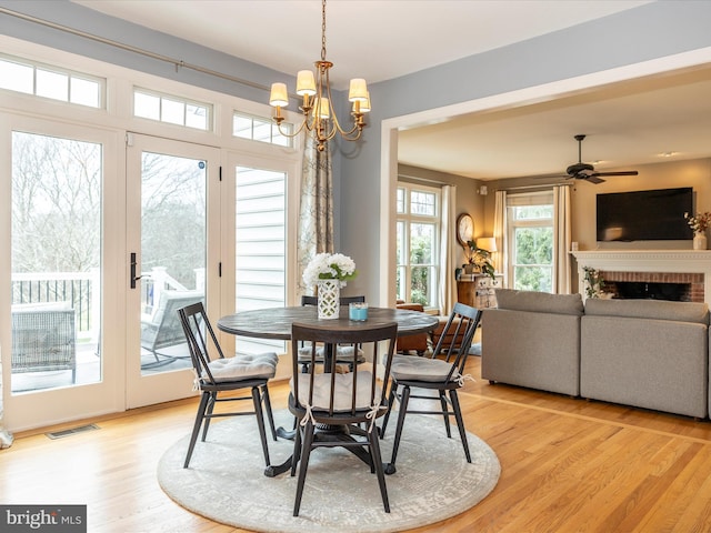 dining area with a fireplace, ceiling fan with notable chandelier, and light hardwood / wood-style floors