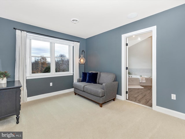 living area featuring carpet flooring