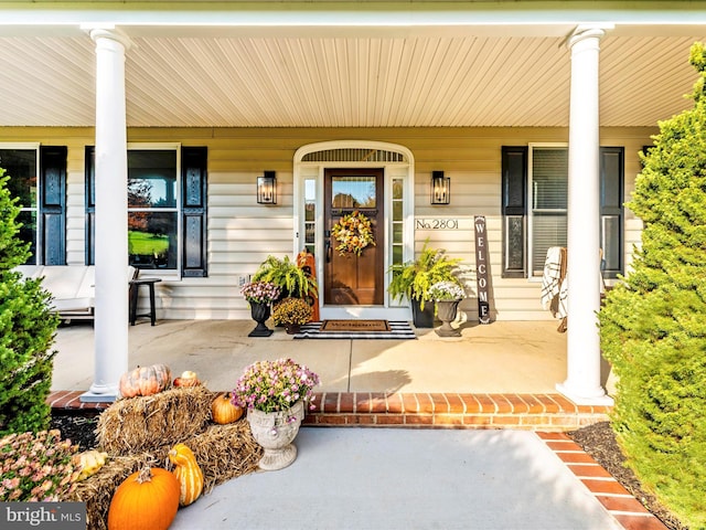 view of exterior entry featuring covered porch