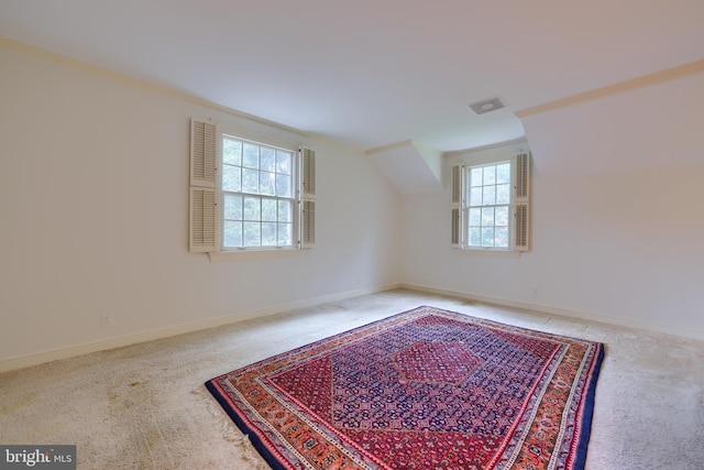 additional living space featuring carpet and plenty of natural light