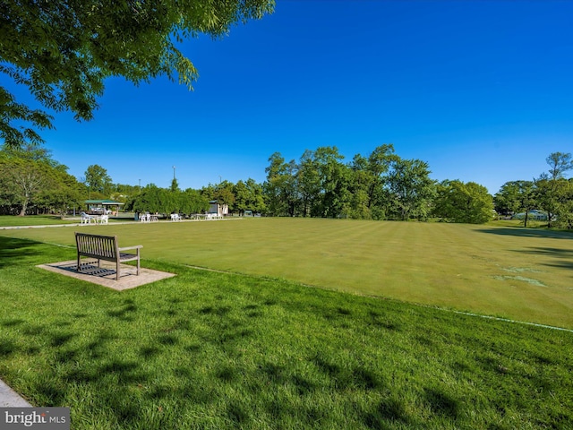 view of home's community featuring a yard