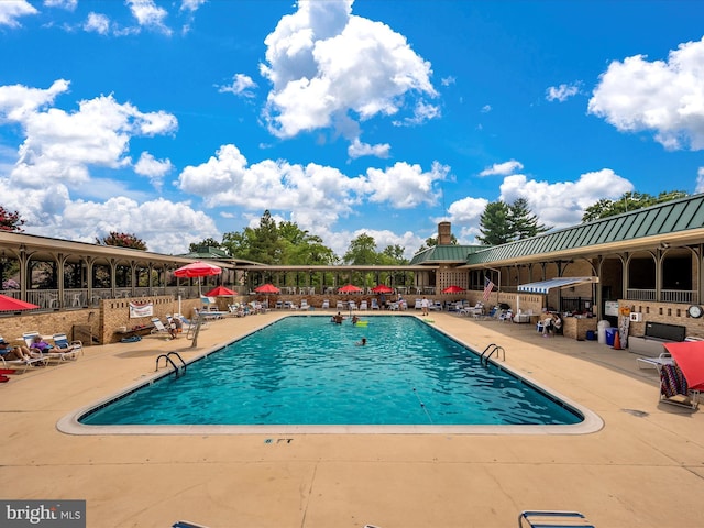 view of swimming pool featuring a patio