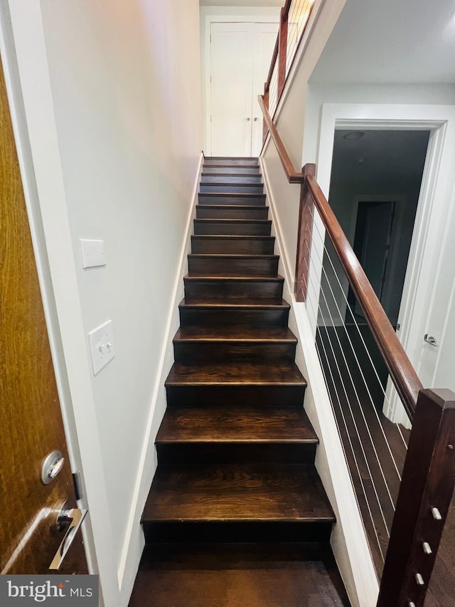 staircase with hardwood / wood-style flooring