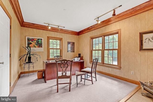 dining space with ornamental molding, rail lighting, and wooden walls