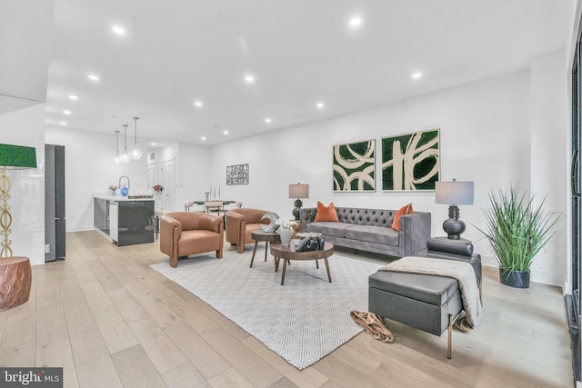 living room featuring light hardwood / wood-style flooring