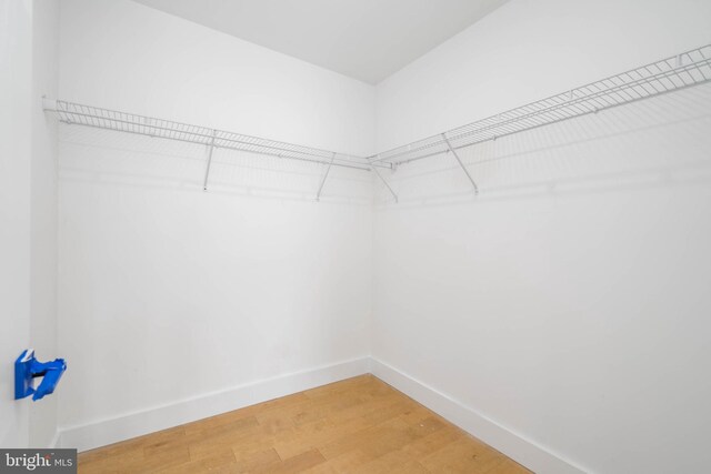 1501 N 31st St Unit 416, Philadelphia, PA 19121 - walk in closet with light wood finished floors