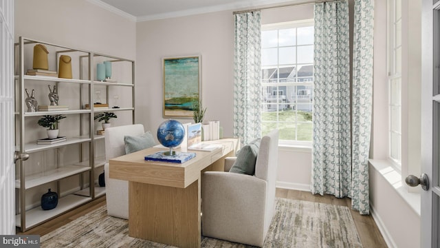 office space featuring light hardwood / wood-style floors and ornamental molding