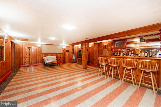 bar with carpet and wooden walls