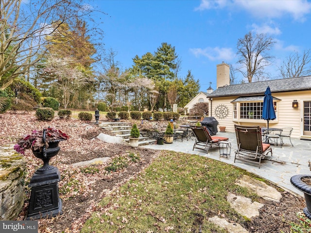 view of yard featuring a patio area