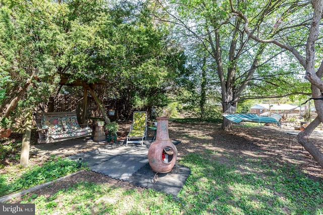 view of yard with a patio