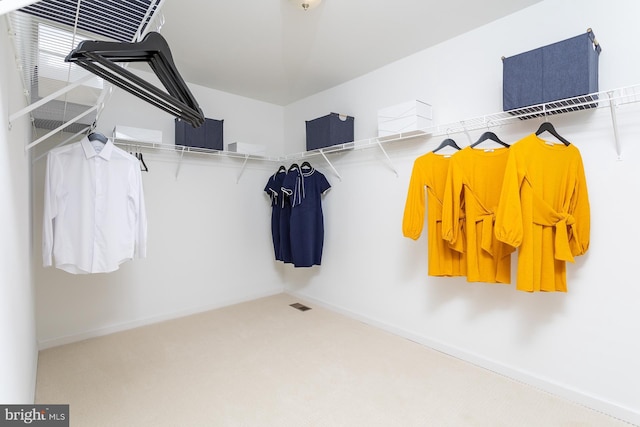 TBB Westmoreland Way Clemson Ii, Charles Town, WV 25414 - walk in closet with carpet flooring