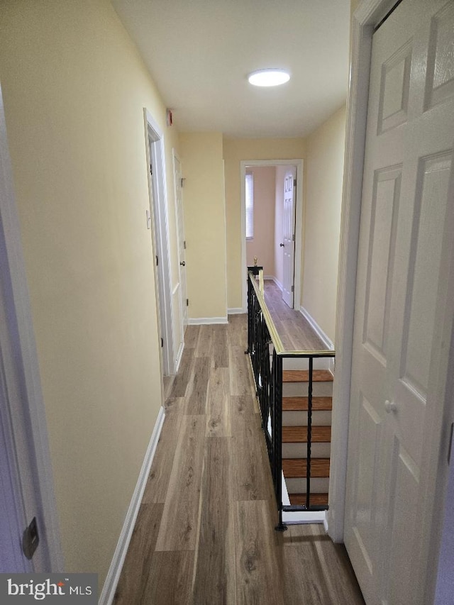 hallway featuring hardwood / wood-style flooring