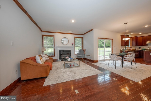 living room with ornamental molding and dark hardwood / wood-style flooring