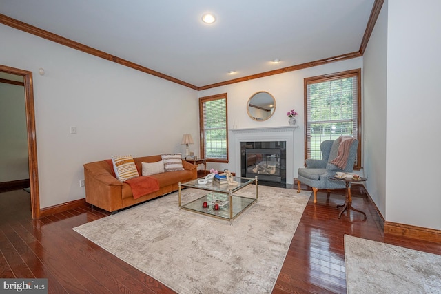 living room featuring crown molding and dark hardwood / wood-style flooring