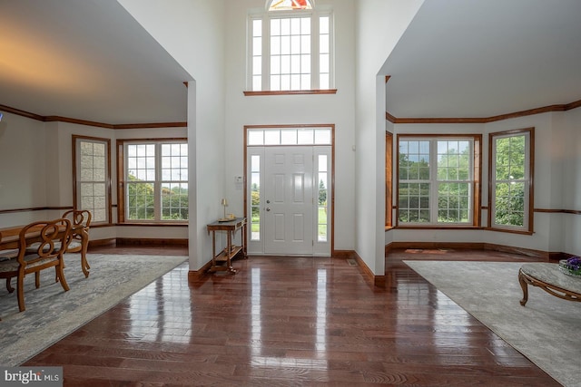 entryway featuring crown molding, a towering ceiling, dark hardwood / wood-style floors, and a wealth of natural light