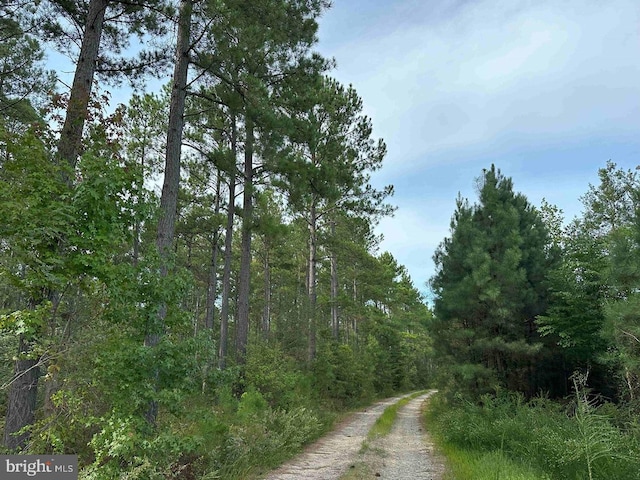 Hustle Rd, Hustle VA, 22476 land for sale