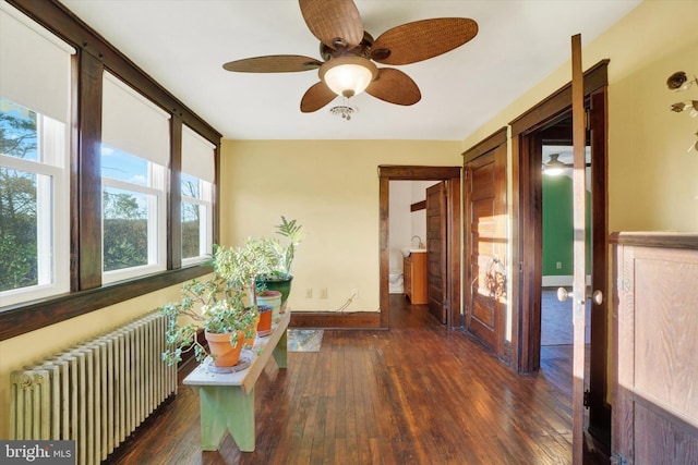 hall featuring radiator and dark hardwood / wood-style flooring