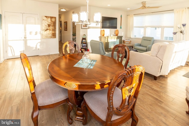 dining area featuring light hardwood / wood-style flooring and ceiling fan with notable chandelier