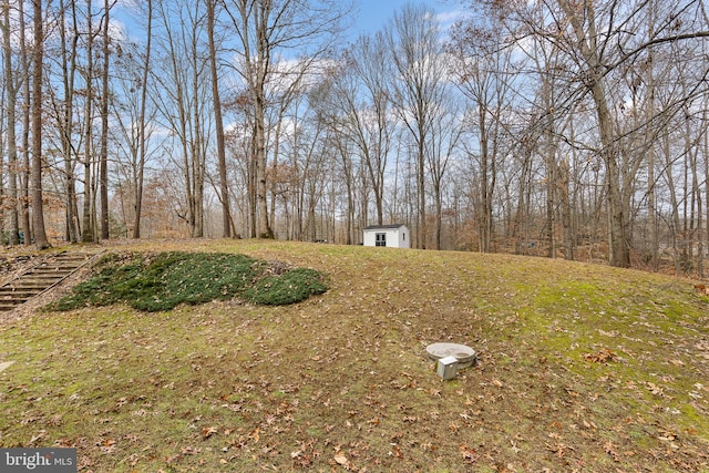 view of yard featuring a storage unit