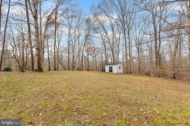 view of yard with a storage unit