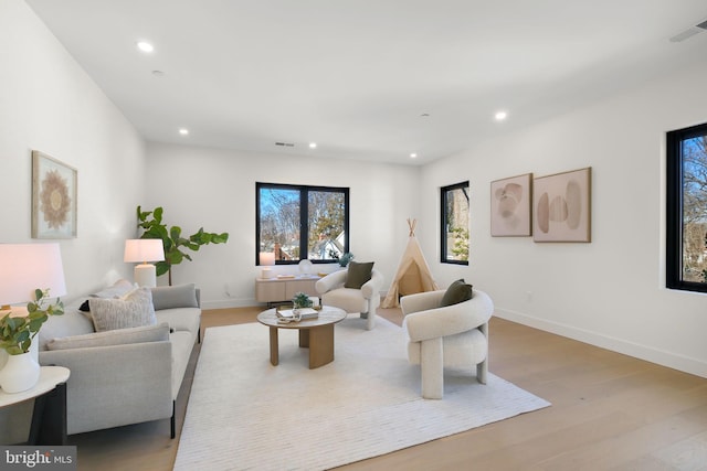 living room with light wood-type flooring