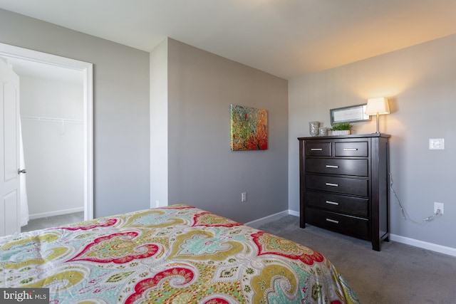 bedroom featuring dark colored carpet, a spacious closet, and a closet