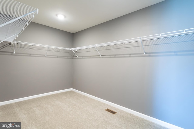 walk in closet featuring carpet floors