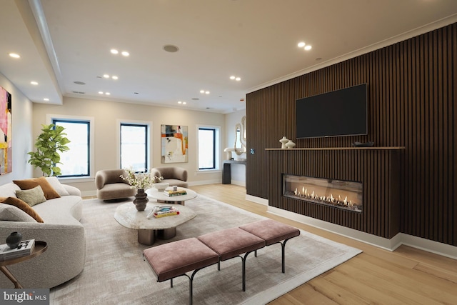 living room featuring ornamental molding, a fireplace, and light hardwood / wood-style flooring