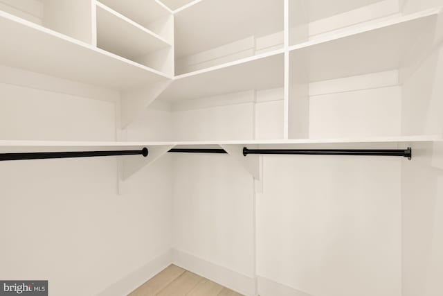 spacious closet with hardwood / wood-style flooring