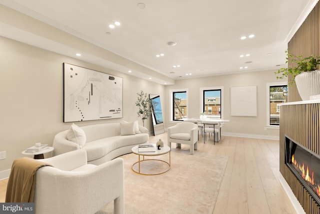 living room featuring light hardwood / wood-style floors