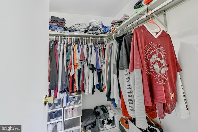 view of spacious closet