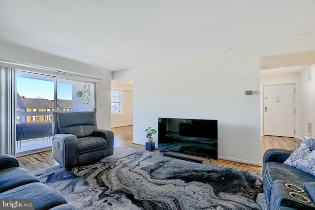 living room with wood-type flooring